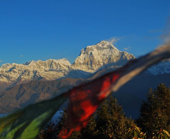 7_20121130_1547151170-560x460 ANNAPURNA BAZA - SANKTUARIUM ANNAPURNY  