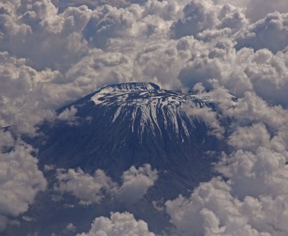 wyprawa na Kilimandżaro